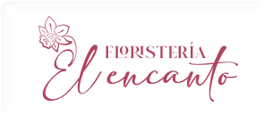 cliente-emerge14